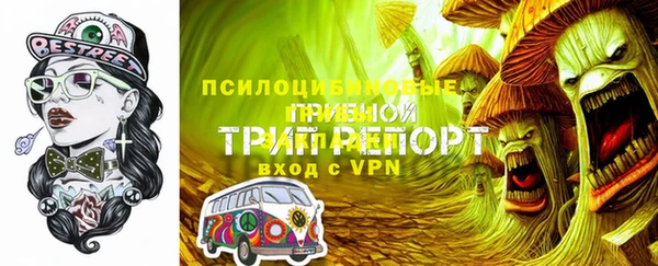 стаф Алексеевка