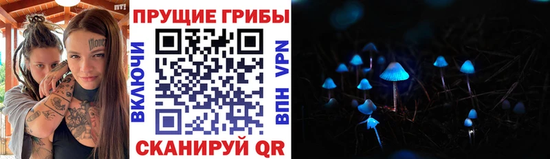 цена Гусь-Хрустальный Псилоцибиновые грибы Psilocybine cubensis